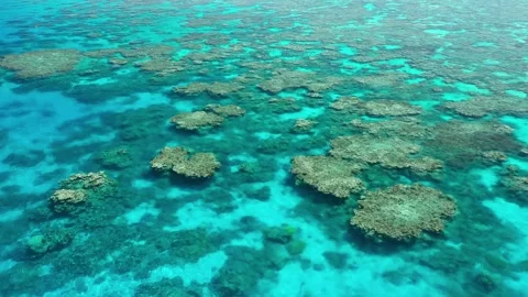 Great Barrier Reef Stockbeeldmateriaal 143545645