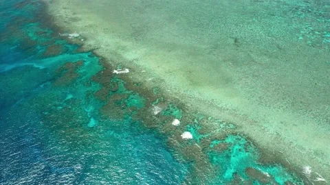 Great Barrier Reef Stockbeeldmateriaal 143793833