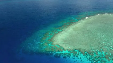 Great Barrier Reef Stockbeeldmateriaal 143795015