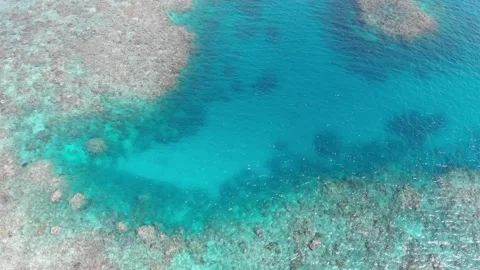 The Great Barrier Reef Stock Footage 146976882