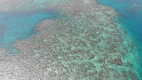 The Great Barrier Reef Stock Footage 146977266
