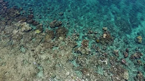 Great Barrier Reef 動画素材 221715417