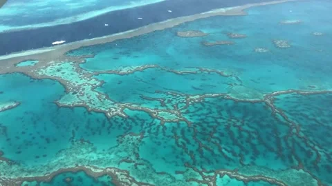 Great barrier reef over the view Stock Footage 137772468