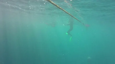 Great Barrier Reef, Rope Floating Under Water Stock Footage 70525861