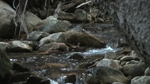 Great Basin Mountain Stream 스톡 동영상 37597553