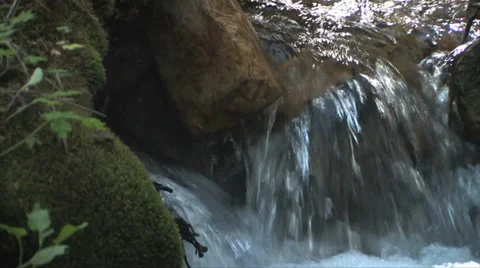 Great Basin Stream 스톡 동영상 37597648