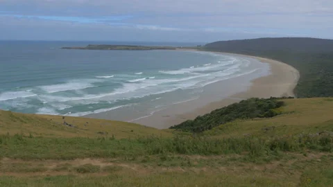 Great beach with beautiful waves and a meadow in the foreground ,in New Zealand Stock Footage 219225806