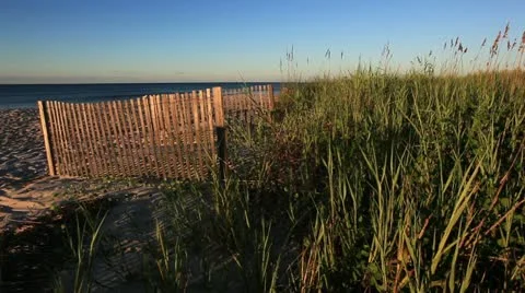 Great beach day! Stock Footage 12321031