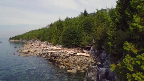 Great Bear Rainforest Coastline Drone Shot 4k Pacific Northwest Scenery Видео 338259664