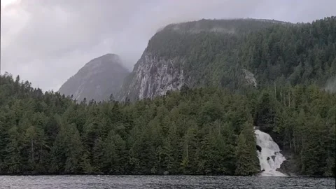 Great bear rainforest waterfall moving shot Video stock 167233163