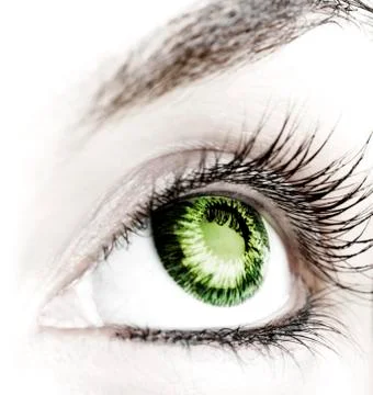 Great big eye. Stock Photos