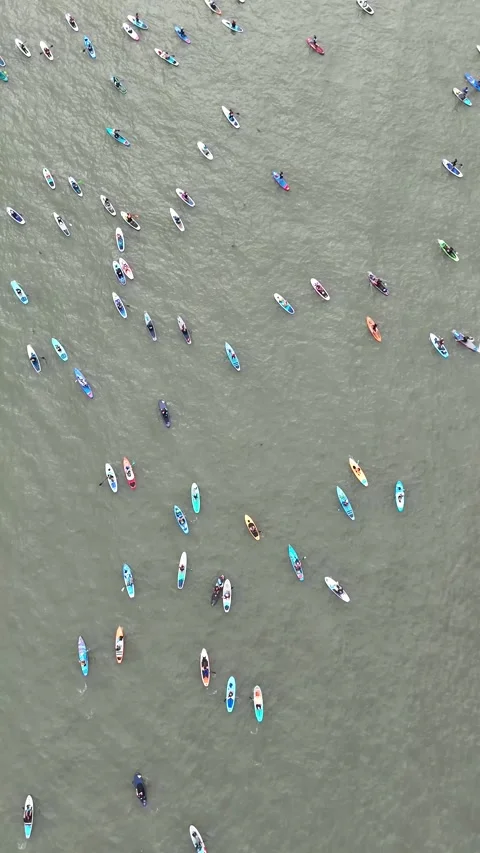 Great big paddle parade Stock Footage 305310276