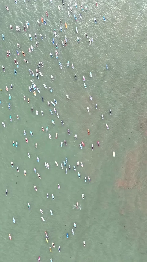 Great big paddle parade, sup, aerial drone video Stock Footage 305311844
