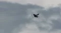 Great Blue Heron In Flight HD Footage