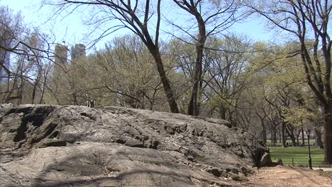 A great boulder in New York's Central Park Stock Footage 97705665