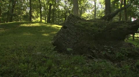 Great Circle Mound at Mounds State Park Stock Footage 11497034