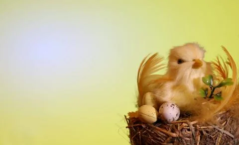 A great composition for Easter Stock Photos