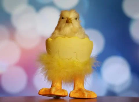 A great composition for Easter Stock Photos