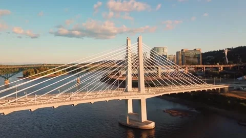 Great connecting bridge 스톡 동영상 221390373