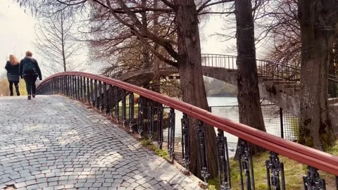 Great corner of the park with two beautiful bridges. Wonderful place. Stock Footage 239299806