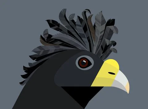Great curassow Stock Illustration
