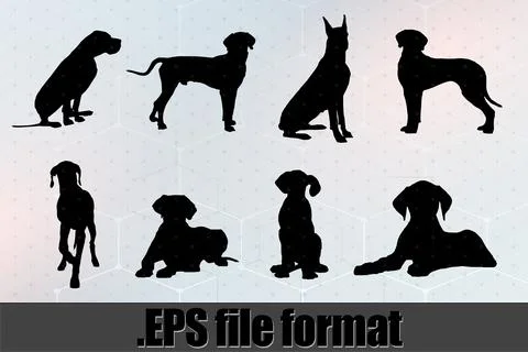 Great Dane Dog Silhouette Bundle SVG Stock Illustration