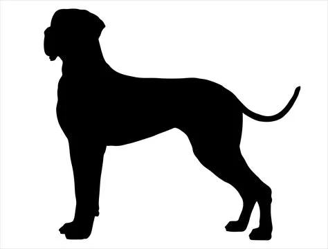 Great dane dog silhouette vector art Stock Illustration