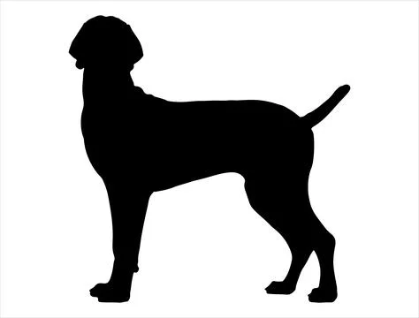 Great dane dog silhouette vector art Stock Illustration