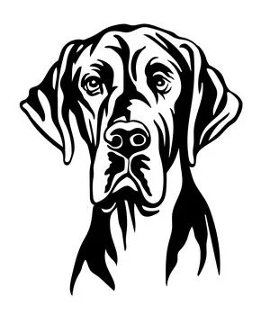 Great dane dog vector black contour portrait vector Stock Illustration