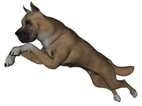 Great dane Stock Illustration