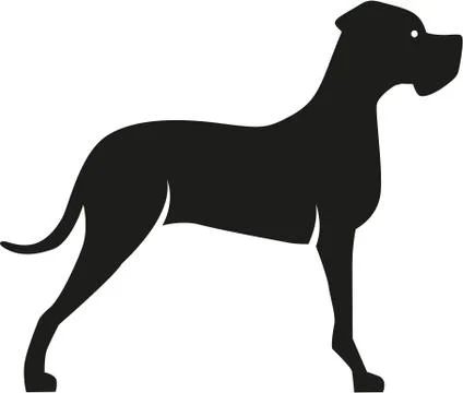 Great dane Stock Illustration