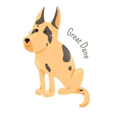 Great Dane isolated. Large breed of domestic dog Stock Illustration