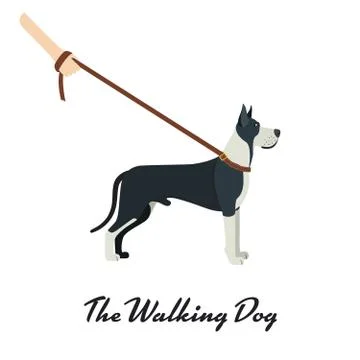 Great Dane with a leash - on white background. Vector illustration Illustrazione stock