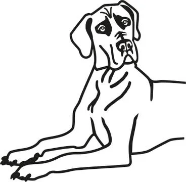 Great dane lying Stock Illustration