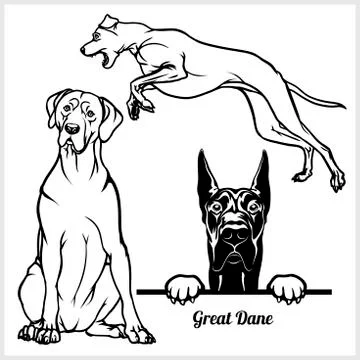 Great Dane - vector illustration for t-shirt, logo and template badges Stock Illustration