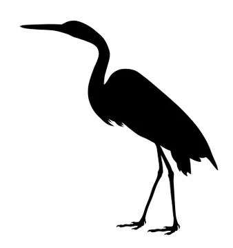 Great egret Stock Illustration