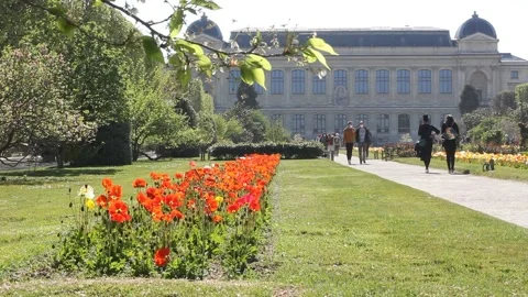 The Great Evolution Galery with blooming red flowers on the foreground in Paris. Stock Footage 153759894