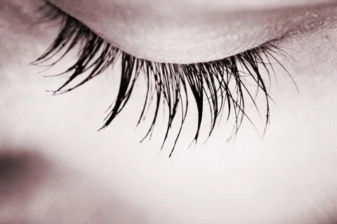 Great eye - macro Stock Photos