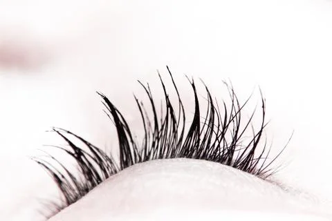 Great eye - macro 스톡 사진