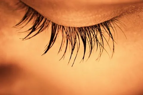 Great eye - macro Stock Photos