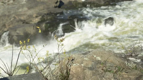 Great Falls Close Up Stock Footage 32220441