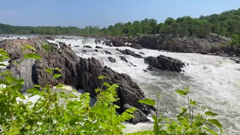 Great Falls Park and Mather Gorge Stock Footage 234737796