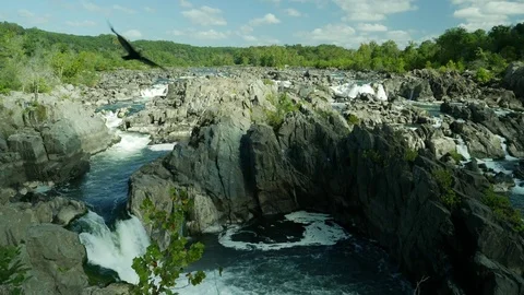 Great Falls of Potomac 스톡 동영상 81924877