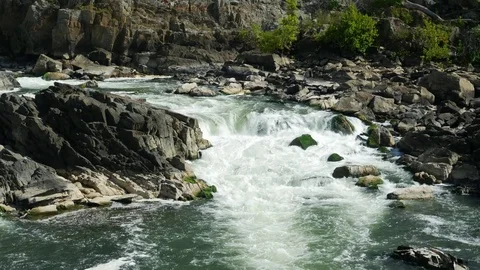 Great Falls of Potomac 스톡 동영상 81996141