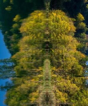 Great Falls trees reflection vertical view. Stock Photos