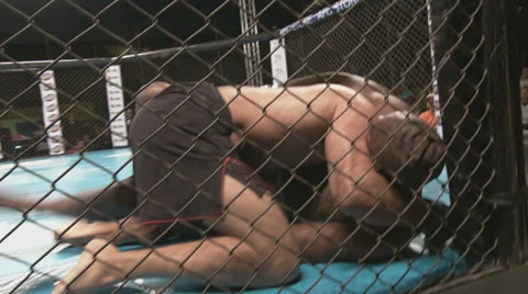 A great fight made in the state of sao paulo, with athletes from various regions Stock Footage 39765482