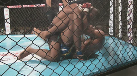 A great fight made in the state of sao paulo, with athletes from various regions Stock Footage 39765504