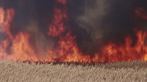 Great Fire Stock Footage 86638369