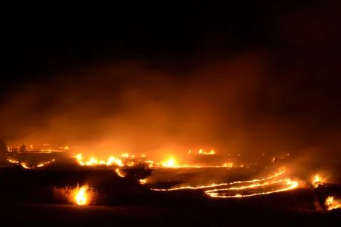 Great fire in the plain Stock Photos