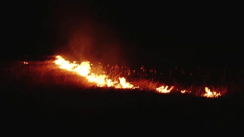 Great Fire in Steppe. Strong Fire Destroys Agricultural Landscapes. Harvest Doom Stock Footage 147172751